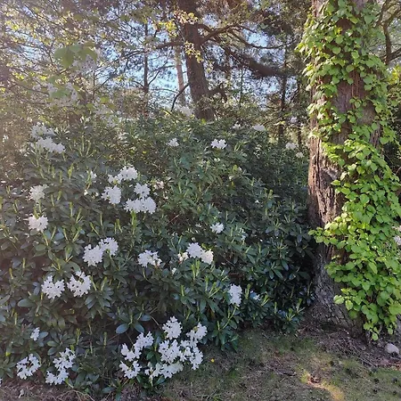 1479-aakirkeby-poseregardsvejen-25 Casa vacanze Vester Somarken